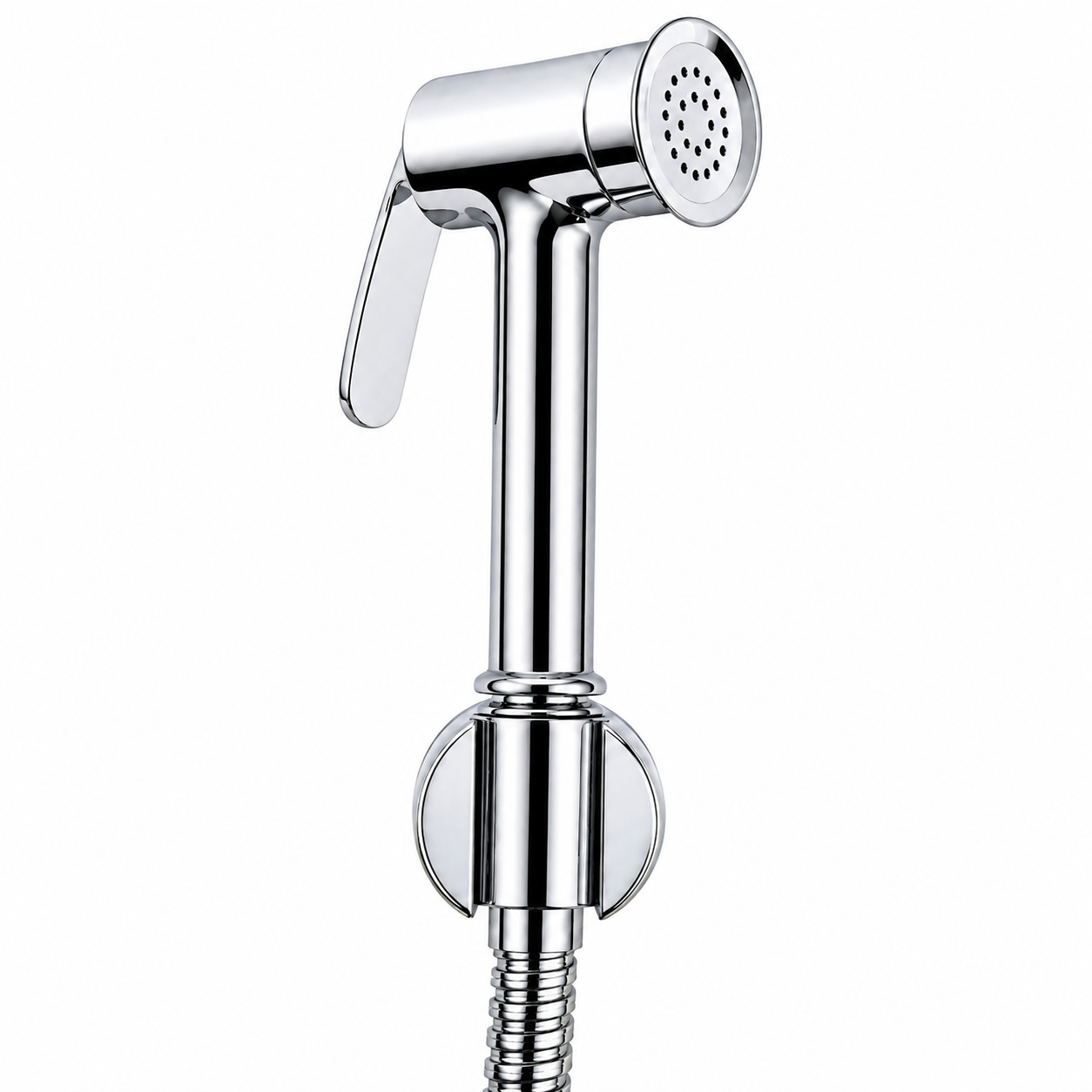 Brass Health Faucet with Hose & Hook